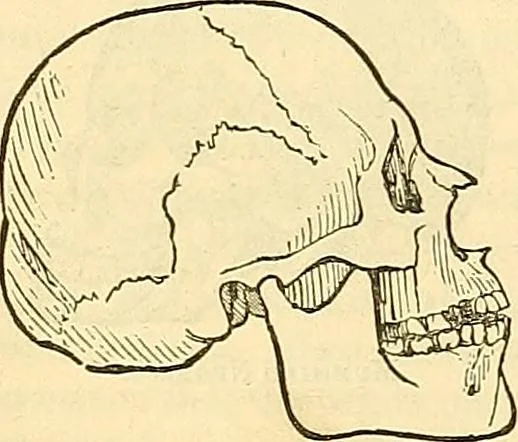 An illustration from Indigenous races of the earth;, 1857, leaf 359
