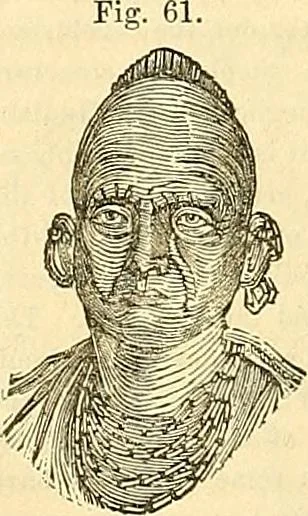 An illustration from Indigenous races of the earth;, 1857, leaf 361