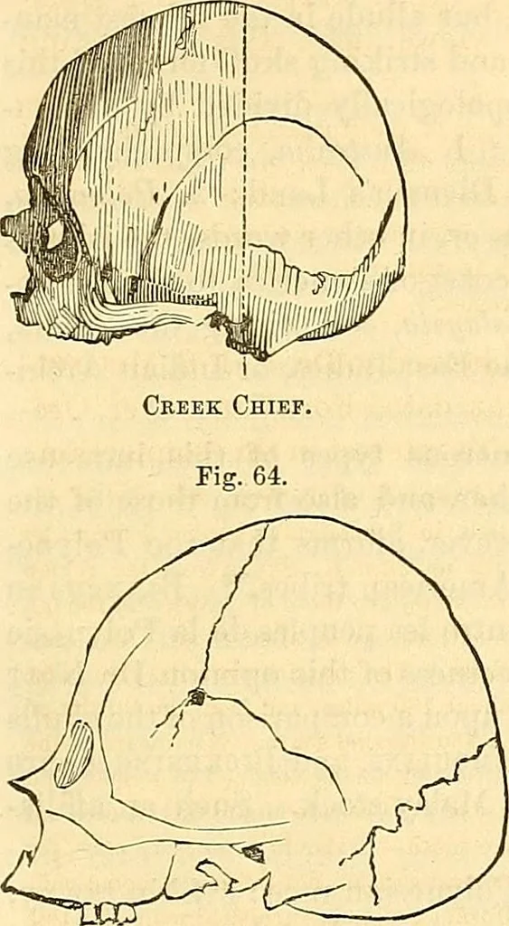 An illustration from Indigenous races of the earth;, 1857, leaf 364