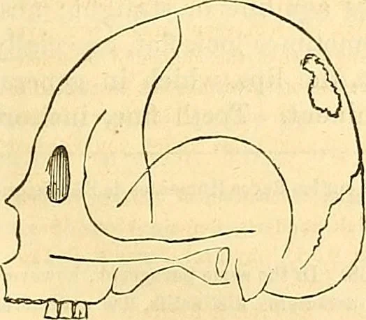 An illustration from Indigenous races of the earth;, 1857, leaf 364