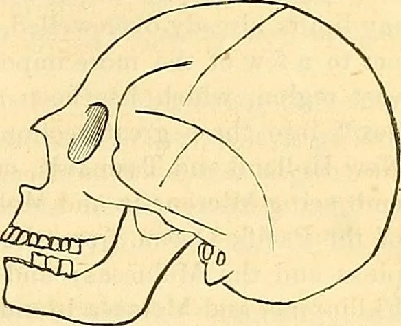 An illustration from Indigenous races of the earth;, 1857, leaf 364