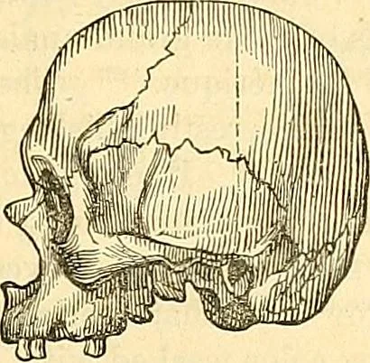 An illustration from Indigenous races of the earth;, 1857, leaf 364