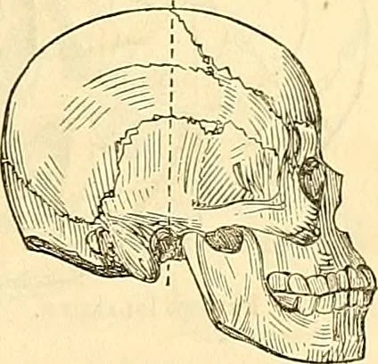 An illustration from Indigenous races of the earth;, 1857, leaf 368