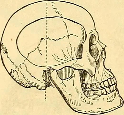 An illustration from Indigenous races of the earth;, 1857, leaf 369