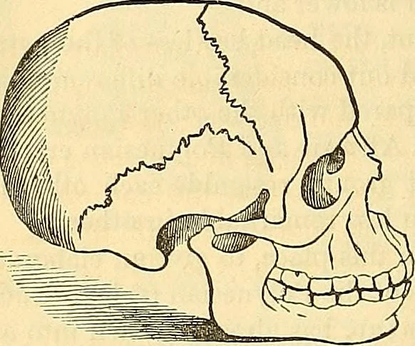 An illustration from Indigenous races of the earth;, 1857, leaf 371