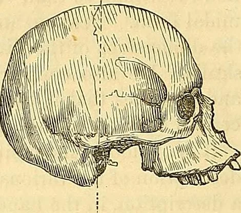 An illustration from Indigenous races of the earth;, 1857, leaf 371
