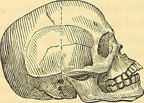 An illustration from Indigenous races of the earth;, 1857, leaf 373