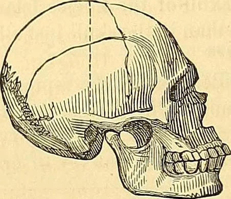 An illustration from Indigenous races of the earth;, 1857, leaf 373