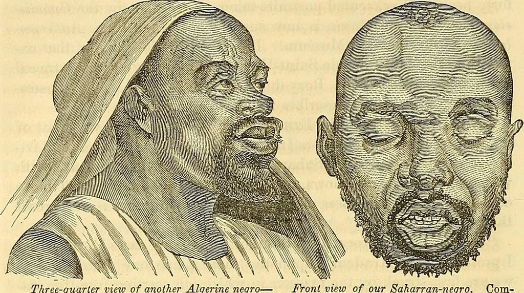 An illustration from Indigenous races of the earth;, 1857, leaf 575