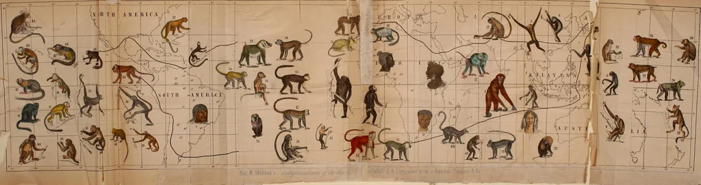 An illustration from Indigenous races of the earth;, 1857, leaf 670