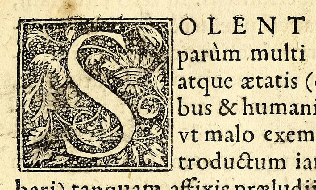 An illustration from In Dioscoridis Anazarbei De materia medica libros quinque,, 1558, leaf 17