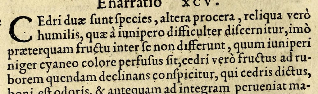 An illustration from In Dioscoridis Anazarbei De materia medica libros quinque,, 1558, leaf 212