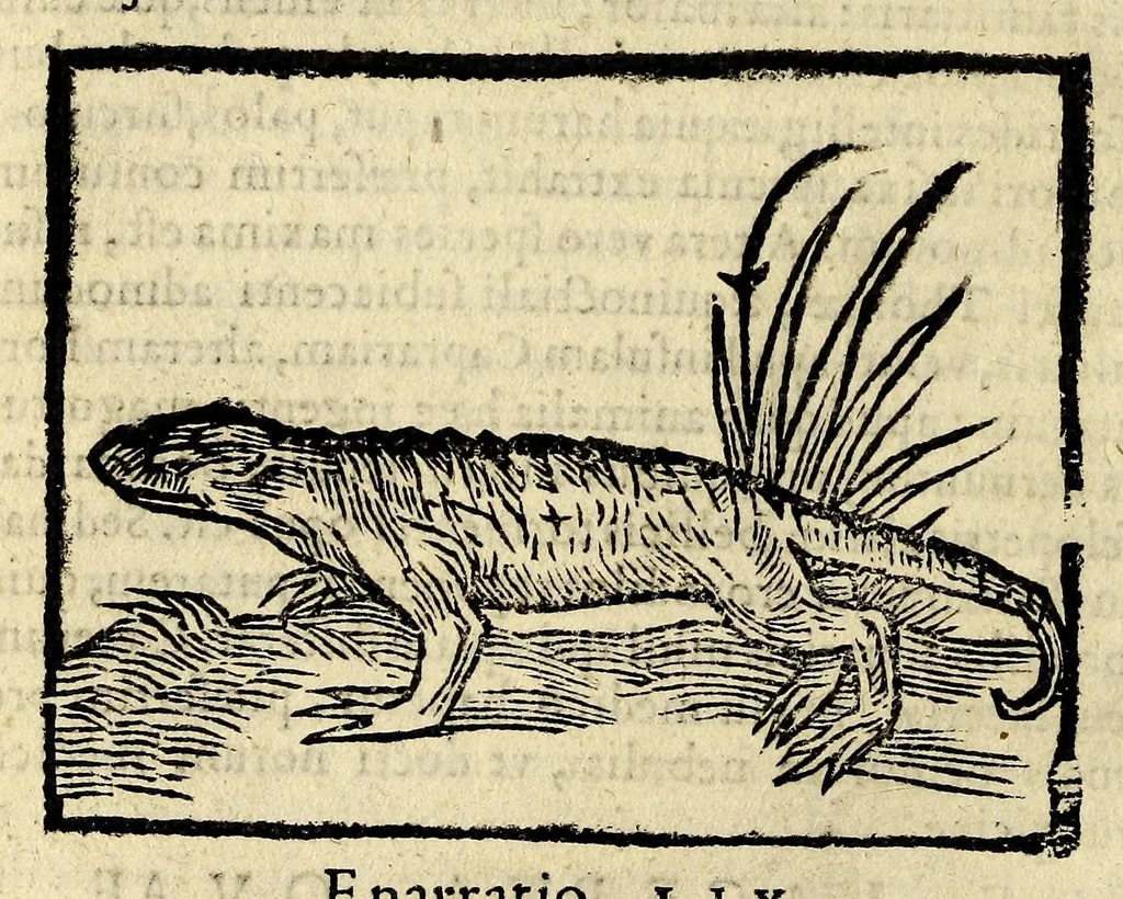 An illustration from In Dioscoridis Anazarbei De materia medica libros quinque,, 1558, leaf 374