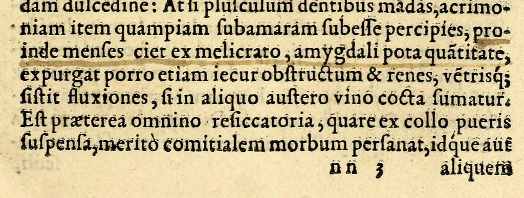 An illustration from In Dioscoridis Anazarbei De materia medica libros quinque,, 1558, leaf 649