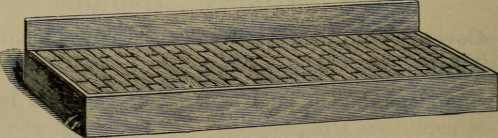 An illustration from Indoor and outdoor gymnastic games, 1902, leaf 119