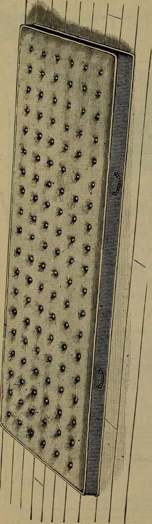 An illustration from Indoor and outdoor gymnastic games, 1902, leaf 141