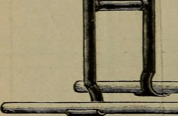 An illustration from Indoor and outdoor gymnastic games, 1902, leaf 143