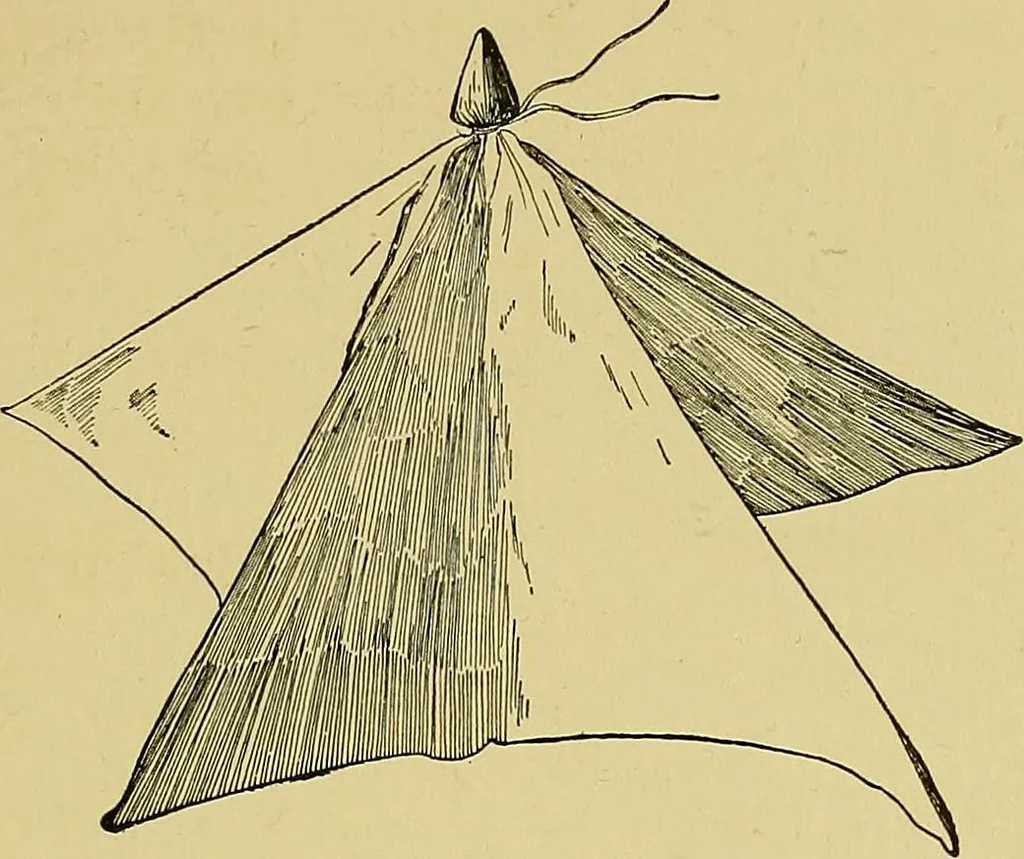 An illustration from Indoor and outdoor handicraft and recreation for girls, 1904, leaf 100