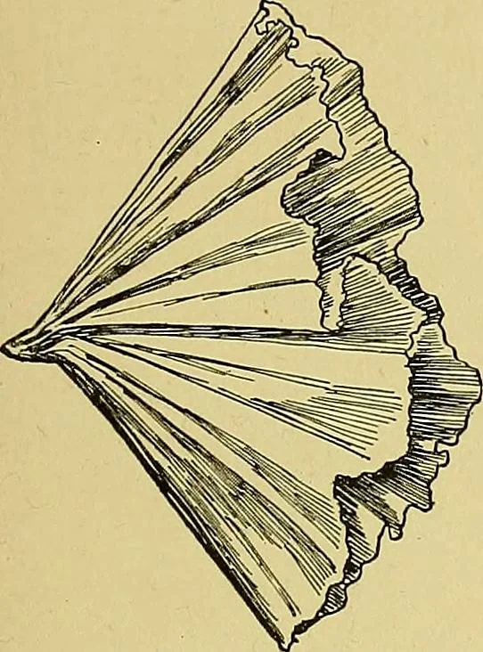 An illustration from Indoor and outdoor handicraft and recreation for girls, 1904, leaf 112