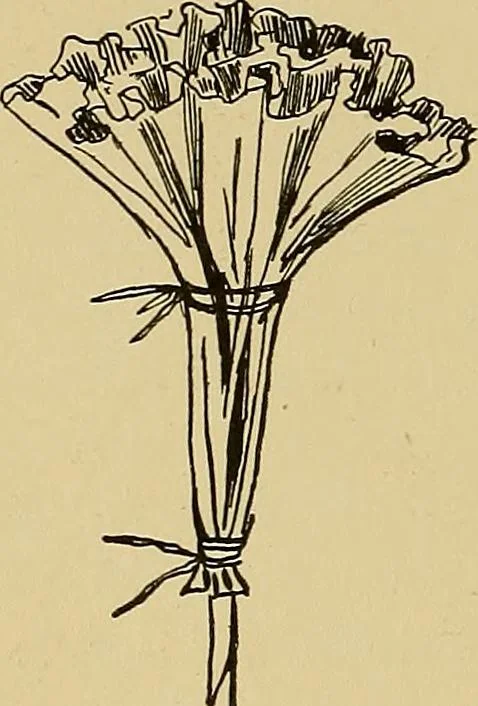 An illustration from Indoor and outdoor handicraft and recreation for girls, 1904, leaf 113