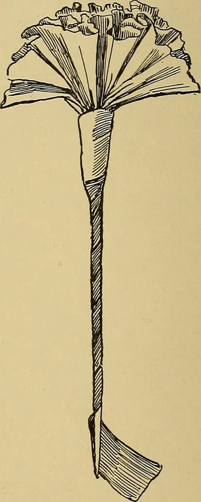 An illustration from Indoor and outdoor handicraft and recreation for girls, 1904, leaf 113