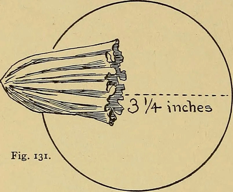An illustration from Indoor and outdoor handicraft and recreation for girls, 1904, leaf 115