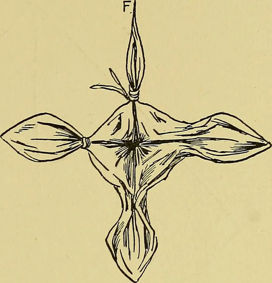 An illustration from Indoor and outdoor handicraft and recreation for girls, 1904, leaf 118