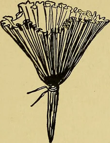 An illustration from Indoor and outdoor handicraft and recreation for girls, 1904, leaf 122