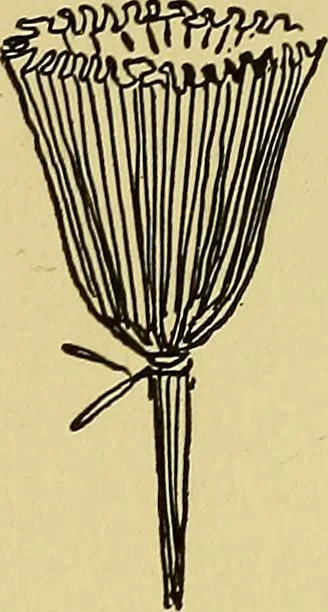 An illustration from Indoor and outdoor handicraft and recreation for girls, 1904, leaf 122