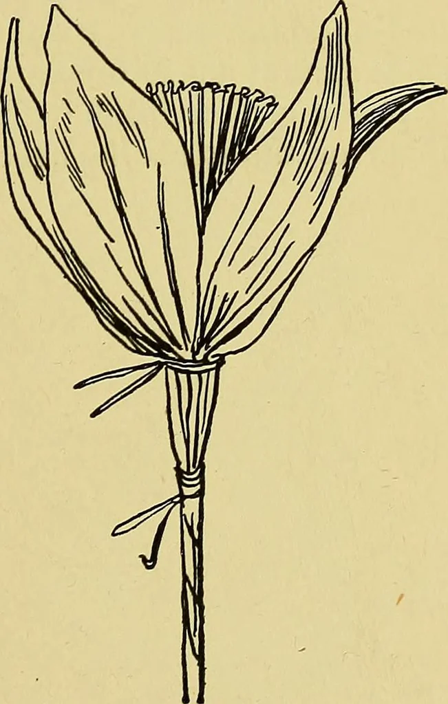 An illustration from Indoor and outdoor handicraft and recreation for girls, 1904, leaf 122