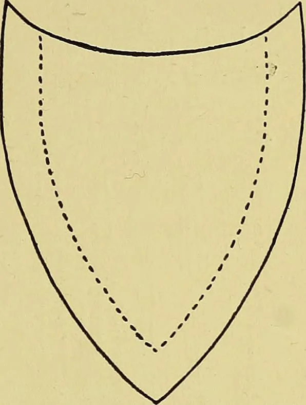 An illustration from Indoor and outdoor handicraft and recreation for girls, 1904, leaf 146