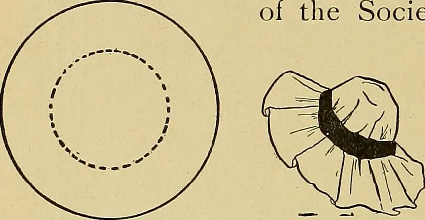 An illustration from Indoor and outdoor handicraft and recreation for girls, 1904, leaf 171
