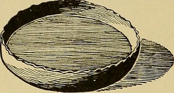 An illustration from Indoor and outdoor handicraft and recreation for girls, 1904, leaf 175