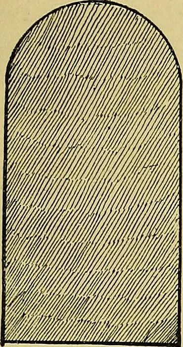 An illustration from Indoor and outdoor handicraft and recreation for girls, 1904, leaf 198