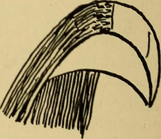 An illustration from Indoor and outdoor handicraft and recreation for girls, 1904, leaf 201