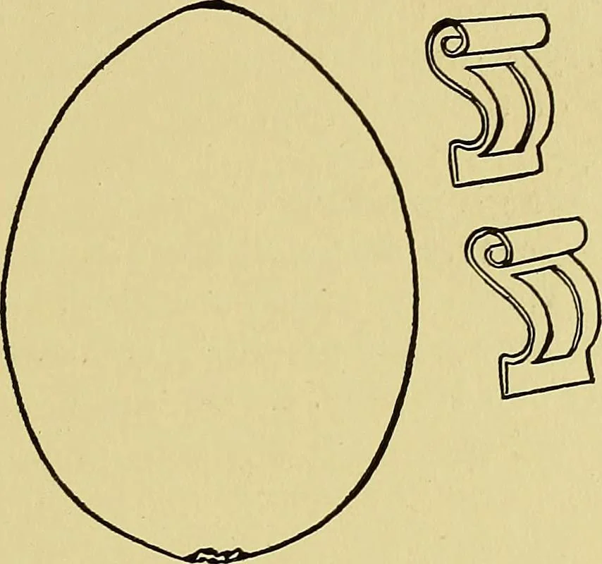 An illustration from Indoor and outdoor handicraft and recreation for girls, 1904, leaf 204