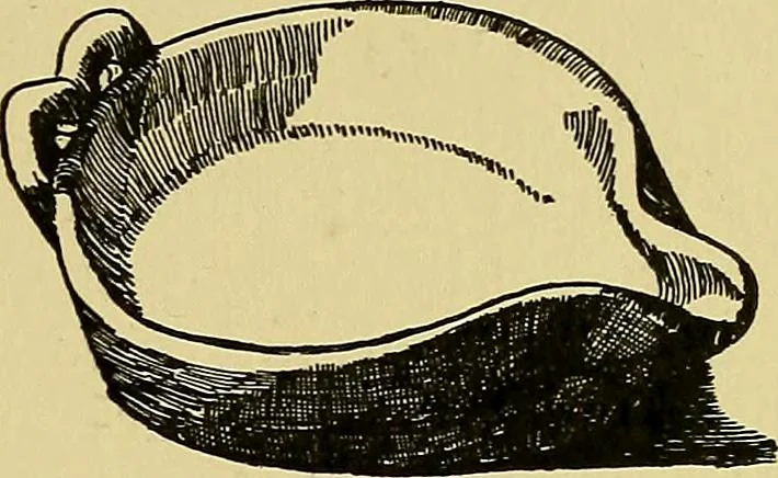An illustration from Indoor and outdoor handicraft and recreation for girls, 1904, leaf 212