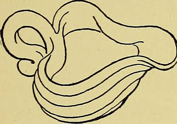 An illustration from Indoor and outdoor handicraft and recreation for girls, 1904, leaf 212
