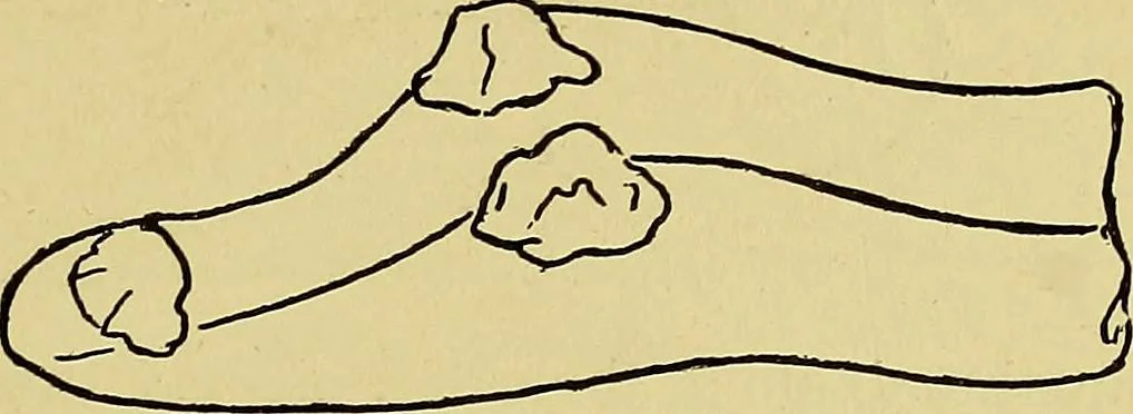 An illustration from Indoor and outdoor handicraft and recreation for girls, 1904, leaf 216