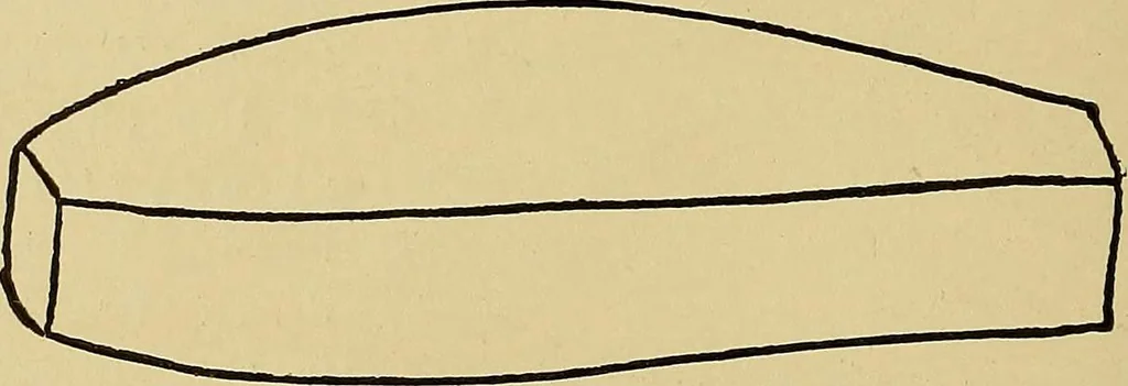 An illustration from Indoor and outdoor handicraft and recreation for girls, 1904, leaf 217