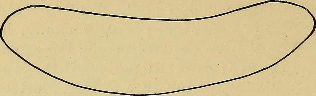 An illustration from Indoor and outdoor handicraft and recreation for girls, 1904, leaf 223