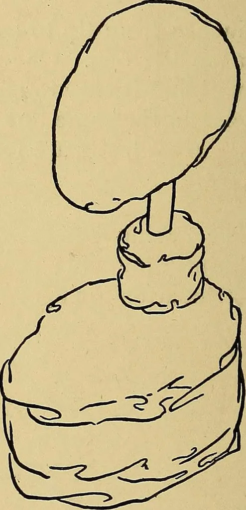 An illustration from Indoor and outdoor handicraft and recreation for girls, 1904, leaf 223
