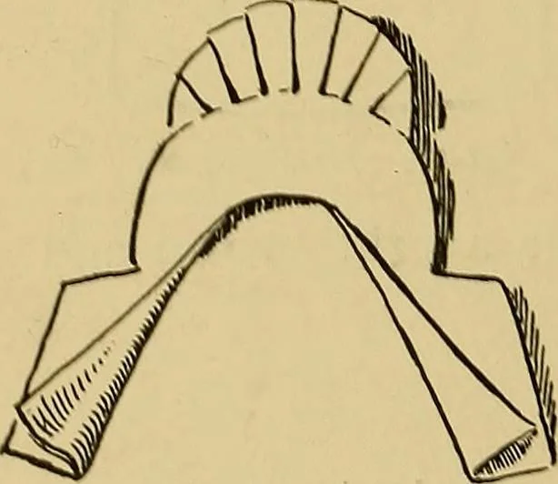 An illustration from Indoor and outdoor handicraft and recreation for girls, 1904, leaf 239