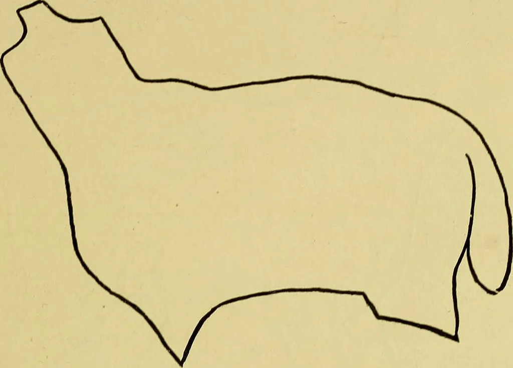 An illustration from Indoor and outdoor handicraft and recreation for girls, 1904, leaf 240