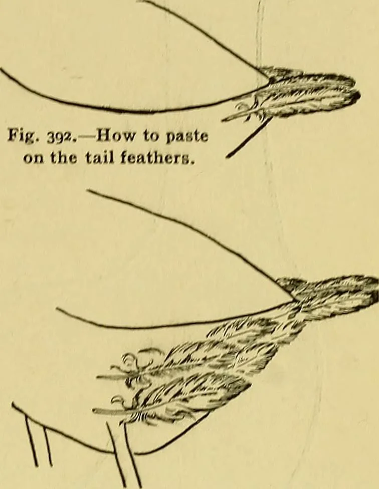 An illustration from Indoor and outdoor handicraft and recreation for girls, 1904, leaf 242