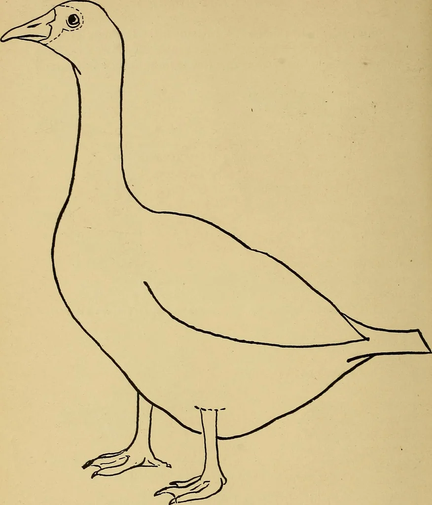 An illustration from Indoor and outdoor handicraft and recreation for girls, 1904, leaf 243
