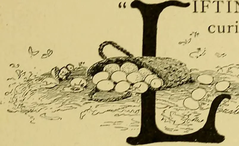 An illustration from Indoor and outdoor handicraft and recreation for girls, 1904, leaf 250