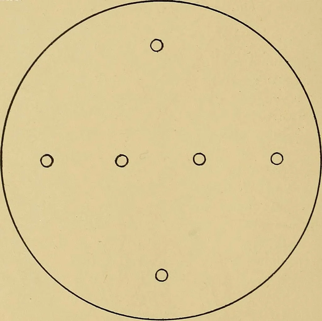 An illustration from Indoor and outdoor handicraft and recreation for girls, 1904, leaf 255