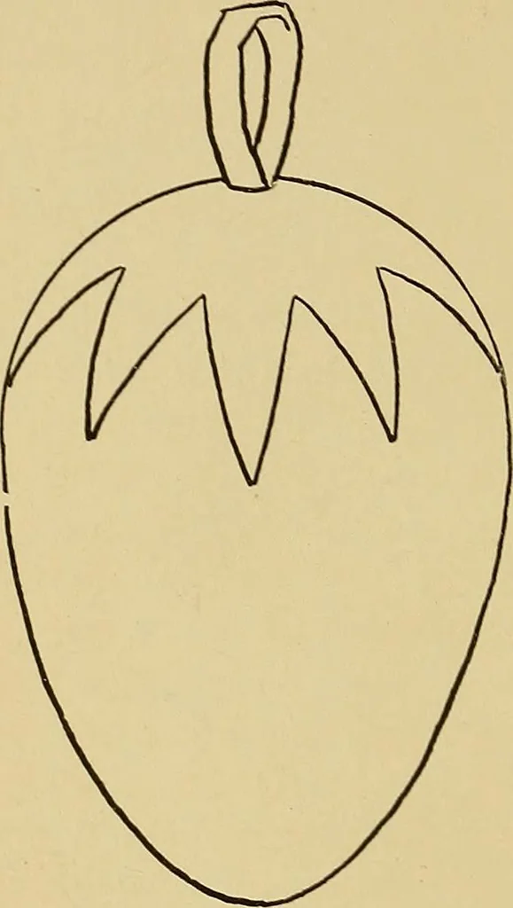 An illustration from Indoor and outdoor handicraft and recreation for girls, 1904, leaf 257
