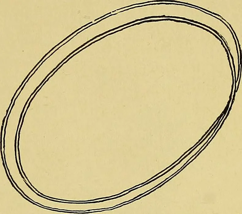 An illustration from Indoor and outdoor handicraft and recreation for girls, 1904, leaf 26